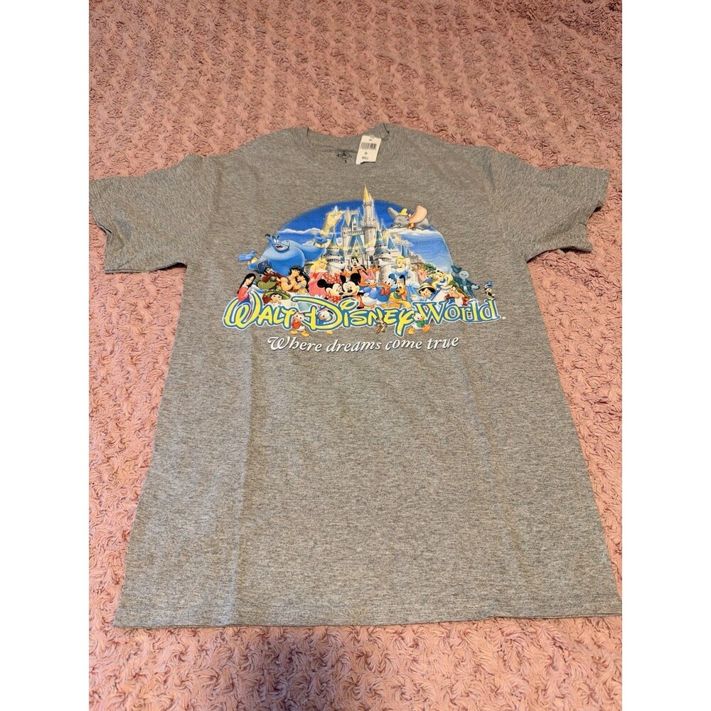 Disney Parks While Disney World Gray Where Dreams Come True S Splash Mountain